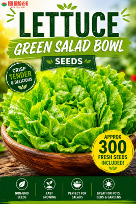 B&Q -  Lettuce Green Salad Bowl Seeds For Fresh Salad Growing