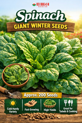 B&Q -  Spinach Giant Winter Seeds For Leafy Green Harvests