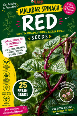 B&Q -  Malabar Spinach Red Seeds For Leafy Green Harvests