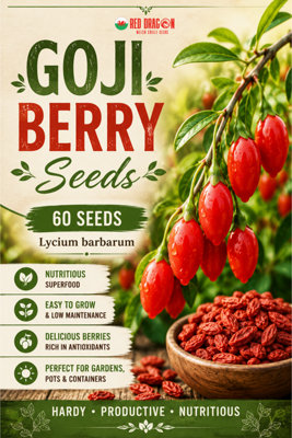 B&Q -  Goji Berry Seeds For Home Garden Growing