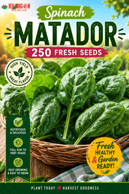 B&Q -  Spinach Matador Seeds For Leafy Green Harvests