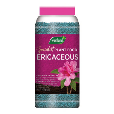  - Westland Ericaceous Plant Food Granules 900G Nutrient Rich Feed For Acid Loving Plants Jar