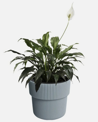 B2C Flowerpot Ridged Planter With Insert Indoor Outdoor Modern Elegant & Stylish W29.9Cm X H28.5Cm Light Grey from B&Q