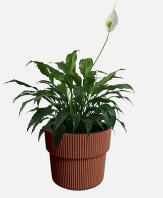 B2C Flowerpot Ridged Planter With Insert Indoor Outdoor Modern Elegant & Stylish W39Cm X H37Cm Copper from B&Q
