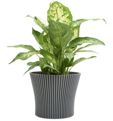 B&Q -  Ribbed Flower Pot Planter Indoor Outdoor Plastic Modern  Multiple Colours 11Cm  Dark Grey