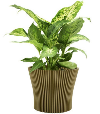 B&Q -  Ribbed Flower Pot Planter Indoor Outdoor Plastic Modern  Multiple Colours 11Cm Gold