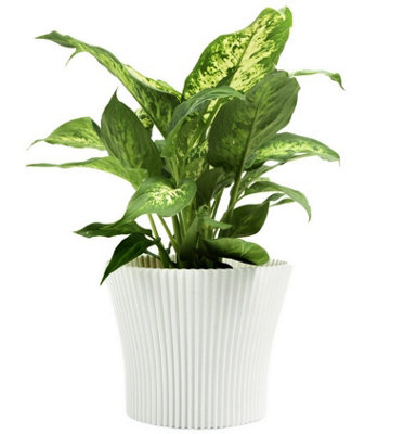 B&Q -  Ribbed Flower Pot Planter Indoor Outdoor Plastic Modern  Multiple Colours 17Cm White