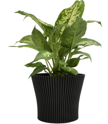B&Q -  Ribbed Flower Pot Planter Indoor Outdoor Plastic Modern  Multiple Colours 17Cm  Black Pearl