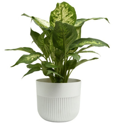 B&Q -  Plant Pot Flower Planter Modern Ribbed Decorative Pots Indoor Outdoor Garden 11Cm White