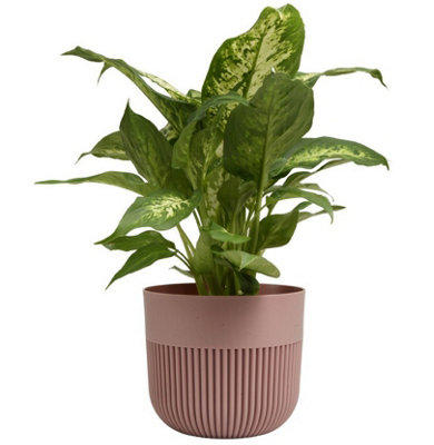 B&Q -  Plant Pot Flower Planter Modern Ribbed Decorative Pots Indoor Outdoor Garden 11Cm Powder Pink
