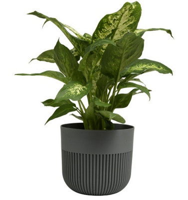 B&Q -  Plant Pot Flower Planter Modern Ribbed Decorative Pots Indoor Outdoor Garden 13Cm Dark Grey