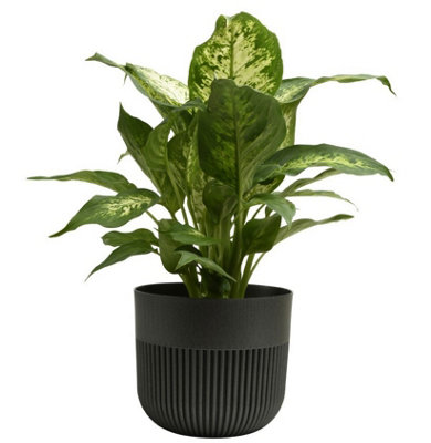 B&Q -  Plant Pot Flower Planter Modern Ribbed Decorative Pots Indoor Outdoor Garden 13Cm Graphite