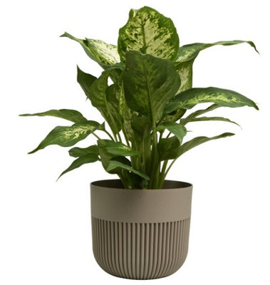 B&Q -  Plant Pot Flower Planter Modern Ribbed Decorative Pots Indoor Outdoor Garden 15Cm Beige