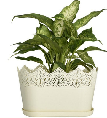 B2C Oval Flower Pot Planter With Saucer Lace Hollow Out Crawn Pot Cover Gloss Ecru from B&Q