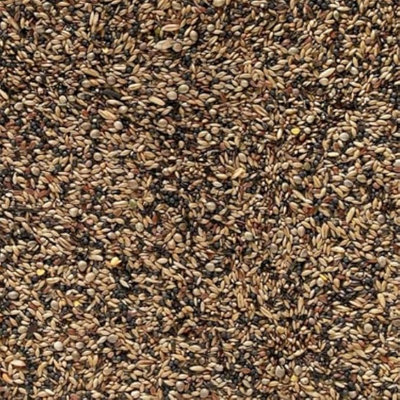 Johnston And Jeff British Finch Wild Bird Seed Nutritious Garden Feed Mix For Finches 2Kg from B&Q