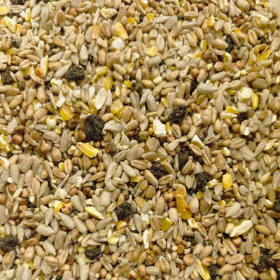 Superpetstoreuk247 1Kg Johnston & Jeff Superior Wild Bird Food With Fruit