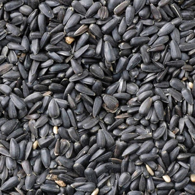 Superpetstoreuk247 Johnston & Jeff Black Oil Sunflower Seeds 4Kg Wild Bird Food