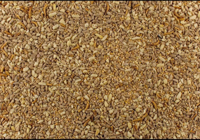 4 Kg Johnston And Jeff Robin And Songbird Wild Bird Food With Mealworm High Energy Seed Mix from B&Q