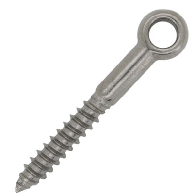 (Pack Of 8) Stainless Steel Forged Lag Thread Woodscrew Eye Bolts 10mm X 120mm A4 Grade Polished Steel from B&Q