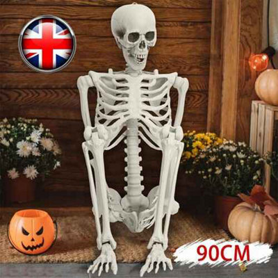 Human Skeleton 90Cm Size Poseable Halloween Party Prop Haunted House Decor from B&Q
