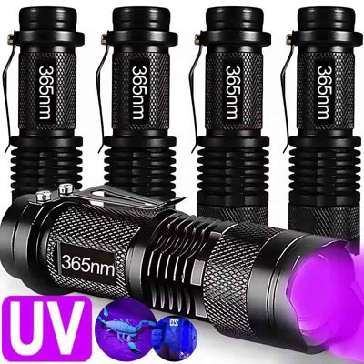 5 Pack 395Nm Uv Flashlight Zoomable Ultraviolet Torch For Pet Stains Scorpions Detector from B&Q