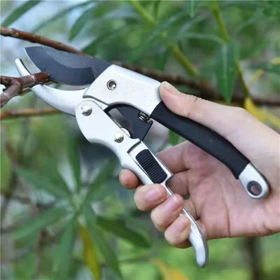 20mm Garden Pruning Shears Hand Tool For Shrubs And Branches 1Pc from B&Q