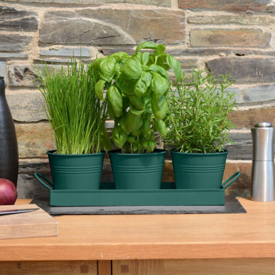 Ckb Ltd Set Of 3 Dark Green Metal Herb Plant Pots With Drip Tray Traditional Indoor Windowsill Coloured Planter Box Herbs Flowers from B&Q