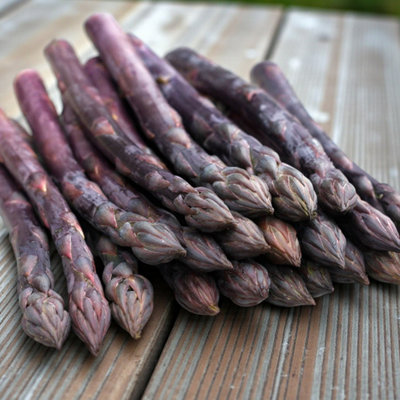 B&Q -  1 X Asparagus Crown Erasmus Roots For PlantingPremium Quality Vegetable Perennials For Kitchen Gardens & Allotments