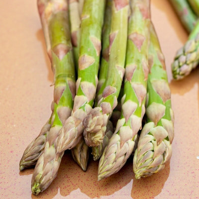B&Q -  1 X Asparagus Crown Tiemlim Roots For PlantingPremium Quality Vegetable Perennials For Kitchen Gardens & Allotments