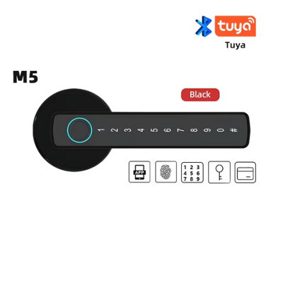 Smart Fingerprint Door Lock Raykube M5 Tuya Ble from B&Q