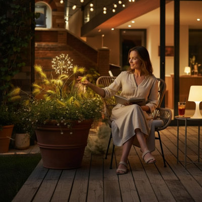 Brown Mini Dandelion Solar Light With 64 Warm White Leds Dual Powered Indoor Outdoor Use from B&Q