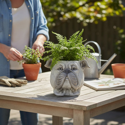 Decorative Concrete Planter Dog Head 33Cm from B&Q