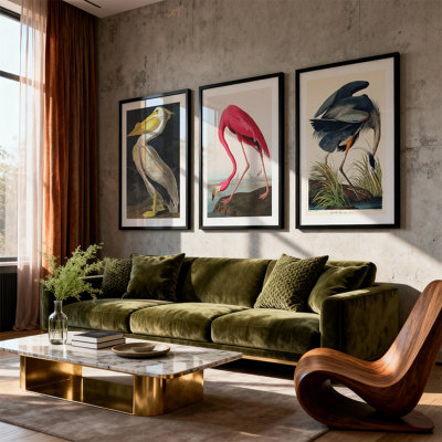 Wolf & Bear Prints Vintage Birds Wall Art Set Of 3FlamingoHeron & Pelican PrintsLuxury Gallery Audubon StyleFramed 40X50Cm
