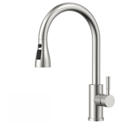 Janlemny Brushed Stainless Steel Kitchen Mixer Tap With 3-Mode Pull-Out Spray360 Swivel & Easy Install from B&Q