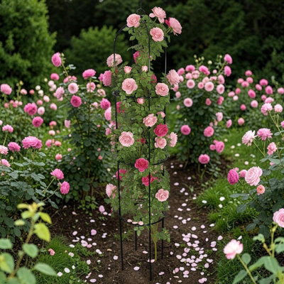 Carbeth Plants Garden Obelisk 1.9MMetal Plant Support For Climbing PlantsRoses And VinesEasy To Assemble Trellis from B&Q