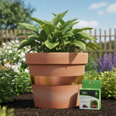 Carbeth Plants Slug And Snail Repellent 4M Copper TapeChemical Free Pest Barrier For Pots & Beds from B&Q