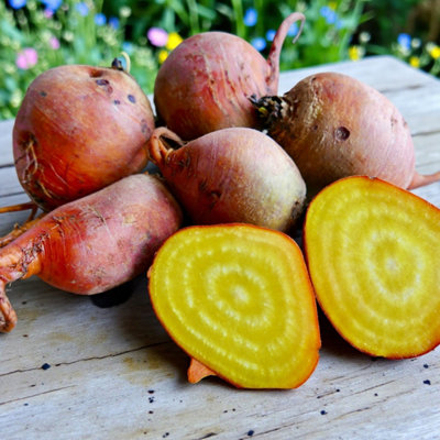 Carbeth Plants Beetroot Golden Vegetable Plant6 PackEasy Grow Kitchen Garden from B&Q