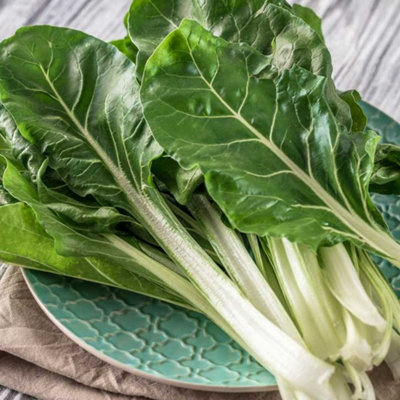 Carbeth Plants 3 X Chard Rainbow Vegetable Plant6 PackEasy Grow Kitchen Garden from B&Q
