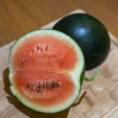 Watermelon F1 Sugar Baby Watermelon Plant 3 Plug Plants from B&Q