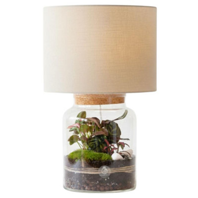 B&Q -  Diy Terrarium Lamp Kit With Live Plants & Moss