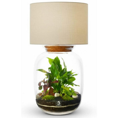 B&Q -  Terrarium Lamp With Plants H: 32 CmDiy Kit With 3 Live Plants And MossCork Lid