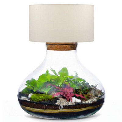 B&Q -  Diy Terrarium Lamp KitH: 26 CmDiy Kit With Plants And MossCork Lid
