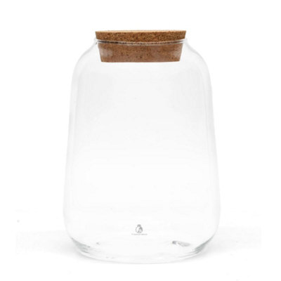 B&Q -  Glass Lantern Terrarium Jar With Cork Lid For Plants H: 21 Cm