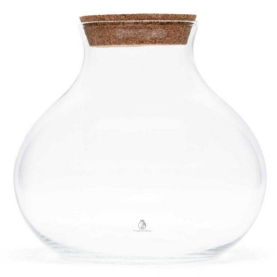 B&Q -  Glass Terrarium With Cork Lid For Plants And DecorH: 24 Cm