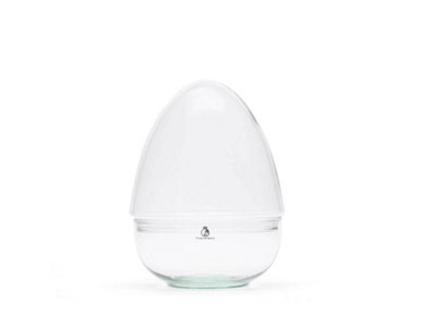 B&Q -  Egg Shaped Glass Terrarium Jar With Glass Lid For Plants And DecorH: 21 Cm