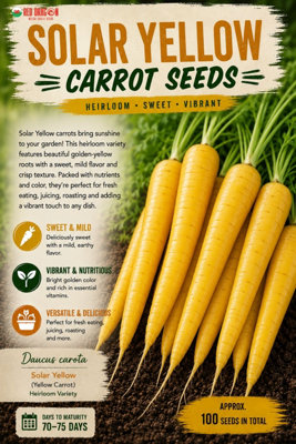 B&Q -  Solar Yellow Carrot Seeds For Vegetable Garden Growing