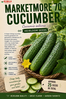 B&Q -  Marketmore 70 Cucumber Seeds For Kitchen Garden Growing