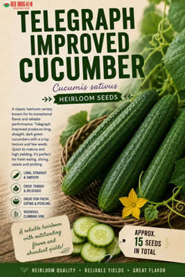 B&Q -  Telegraph Improved Cucumber Seeds For Kitchen Garden Growing