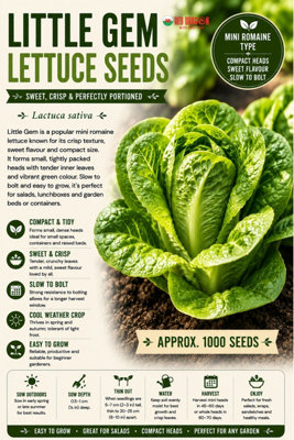 B&Q -  Little Gem Lettuce Seeds For Fresh Salad Growing