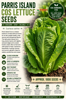 B&Q -  Parris Island Cos Lettuce Seeds For Fresh Salad Growing